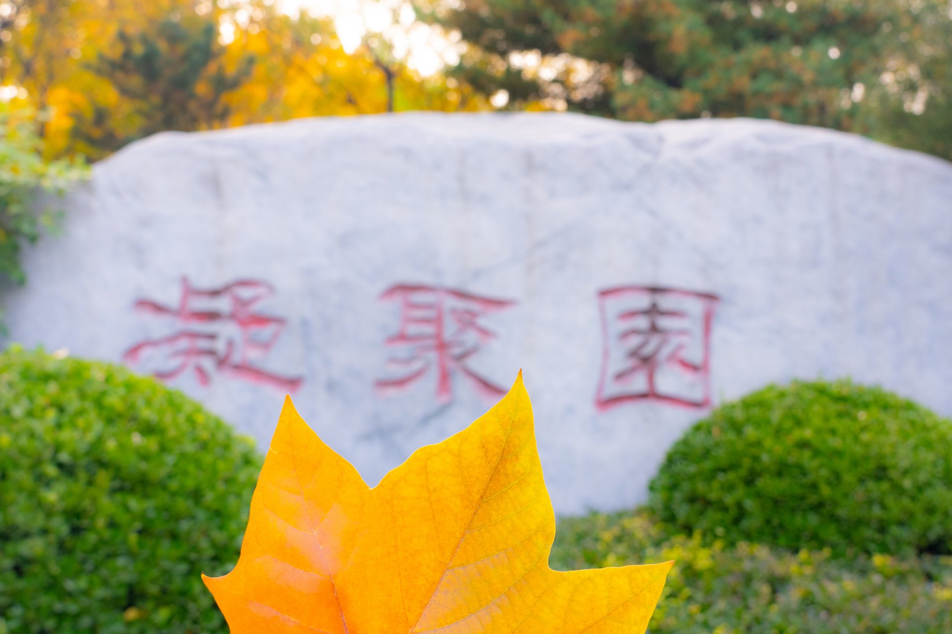 文内链接用于对照细节